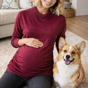 Isabel Maternity by Ingrid & Isabel Maroon Sweater